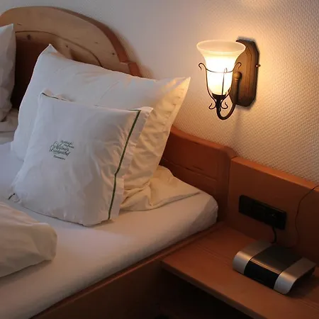 Hotel Wuellner's Landgasthof Schmallenberg