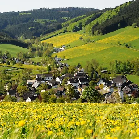 Wuellner's Landgasthof Hotel Schmallenberg