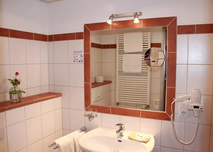 酒店 武勒尼尔兰德酒店 施马伦贝格